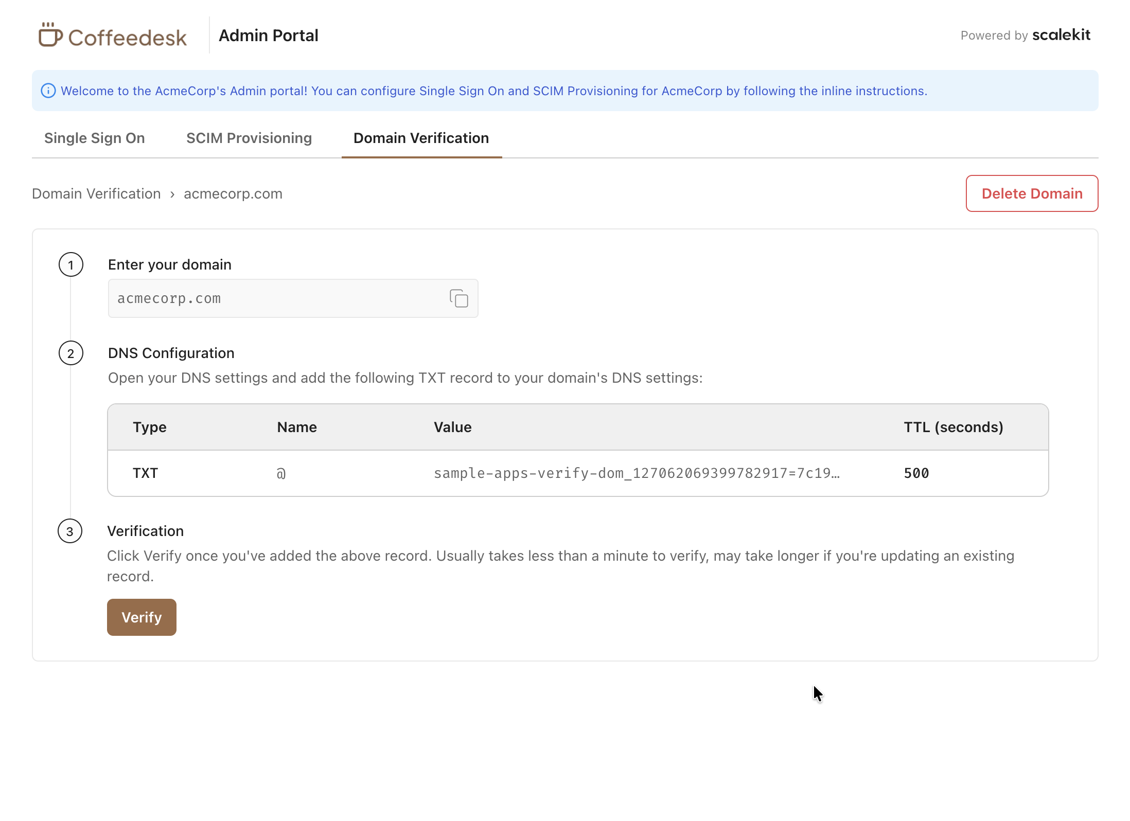 Domain verification via admin portal